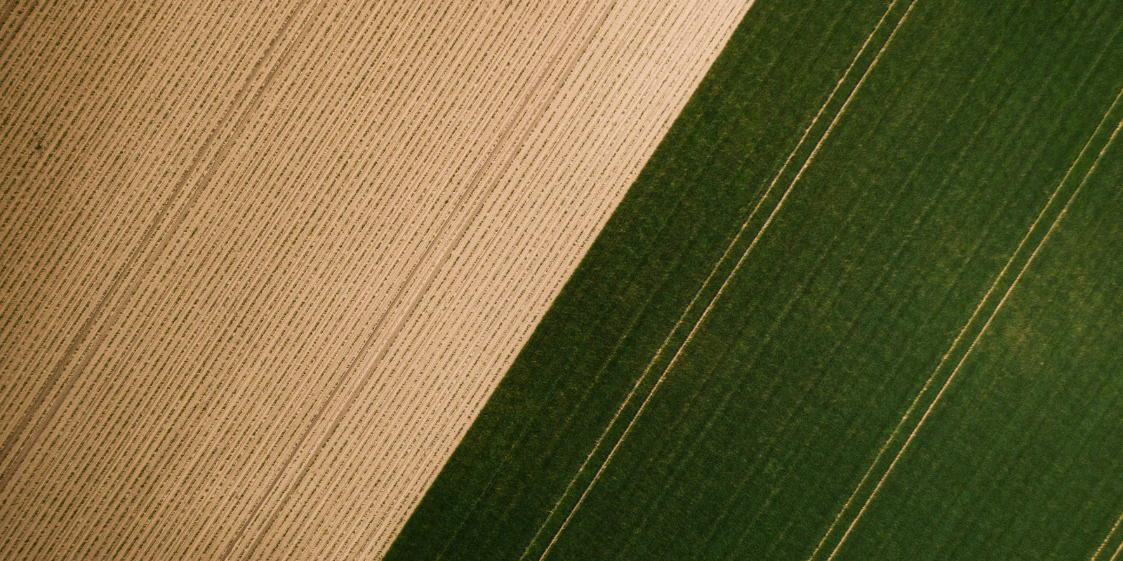 Étudier la Gestion Logistique et Transport à Bordeaux : Avantages