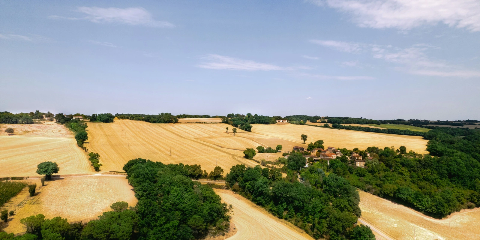 Le DUT GLT : Gestion Logistique et Transport en Détail