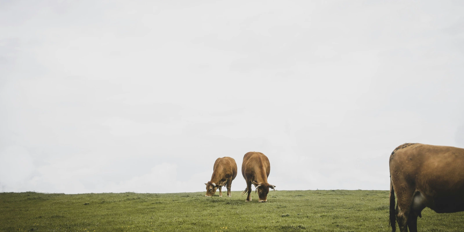Les Avantages de la Gestion Logistique et Transport en Entreprise