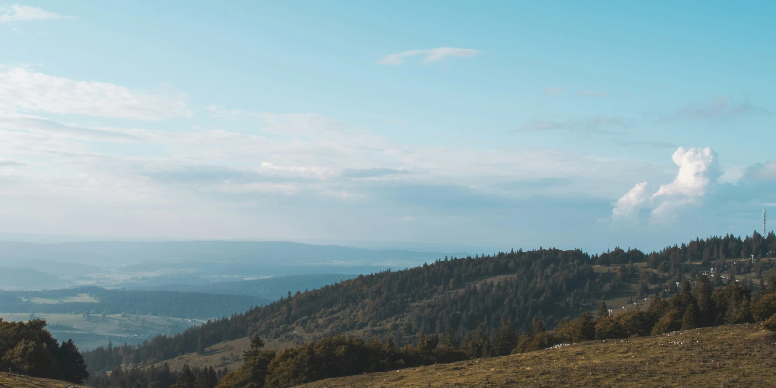 Les Meilleures Ressources pour Étudier la Logistique et Transport