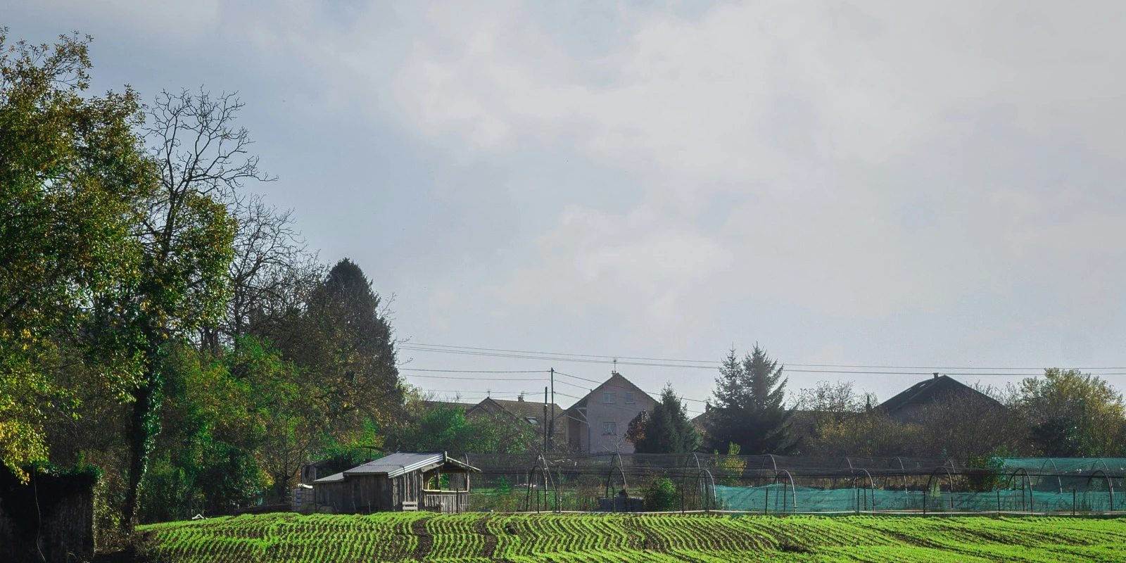 Les Principales Spécialités en DUT Transport Logistique